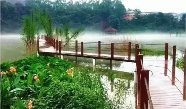 【訂房有禮】佛岡鶴鳴洲櫻花溫泉頂級別墅秋冬大酬賓，獨享私密溫泉泡池+泳池！