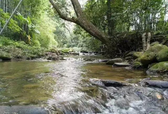 【龍門十三湯】到林豐溫泉度假山莊靜下來，好好感受自然，享受溫泉度假