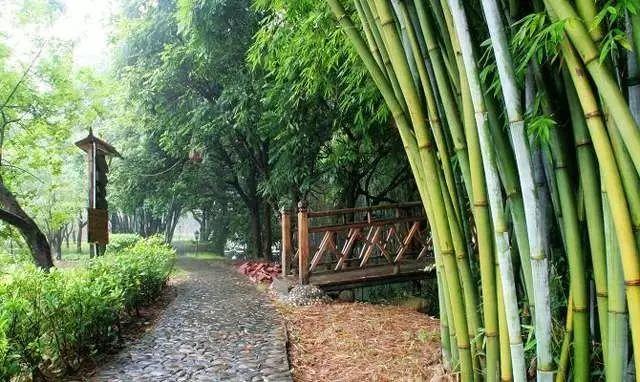 【龍門十三湯】到林豐溫泉度假山莊靜下來，好好感受自然，享受溫泉度假