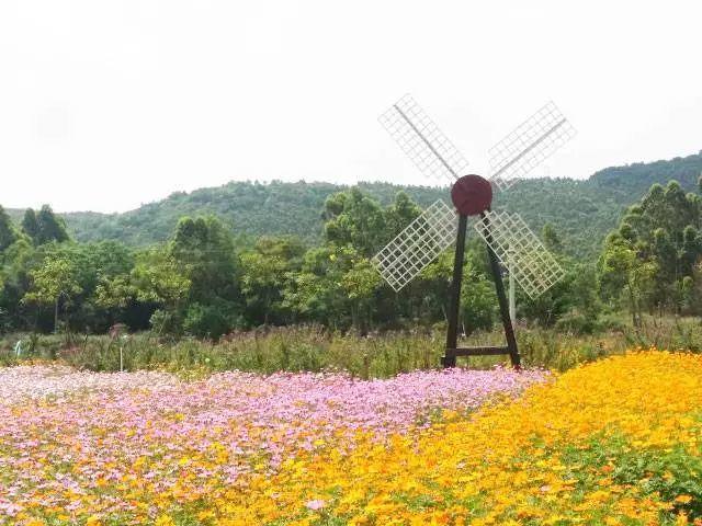廣東海陵島保利臨海度假別墅~豪華精裝修，免費麻將任打，廚房樣樣齊全~近十里銀灘
