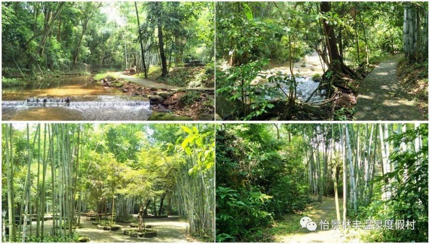 【龍門十三湯之林豐溫泉】南昆山麓下的竹林溫泉，詩意新林豐，心靈棲息地