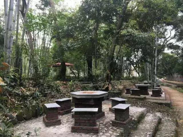 【龍門十三湯】到林豐溫泉度假山莊靜下來，好好感受自然，享受溫泉度假
