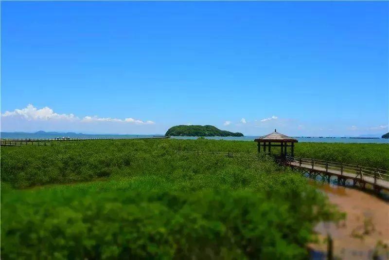 海陵島北洛秘境度假酒店 · 暢享30層高無邊際泳池！