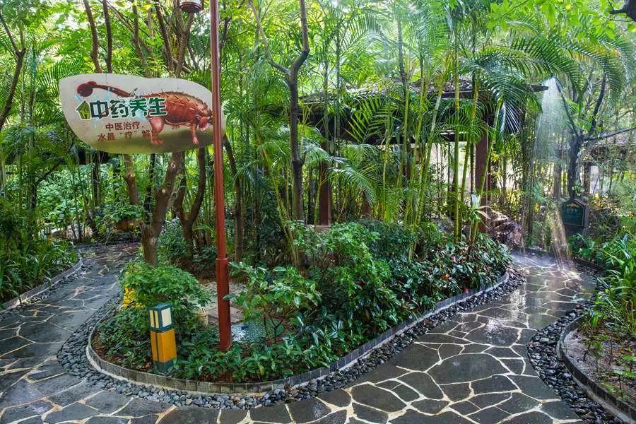 廣州增城香江健康山谷溫泉別墅房預(yù)售搶購