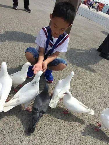 圖片