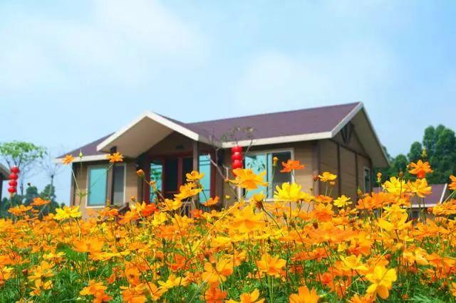 廣東海陵島保利臨海度假別墅~豪華精裝修，免費麻將任打，廚房樣樣齊全~近十里銀灘